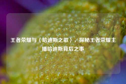 王者荣耀与〈哈迪斯之歌〉，探秘王者荣耀主播哈迪斯背后之事