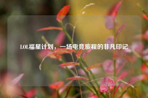 LOL福星计划，一场电竞旅程的非凡印记