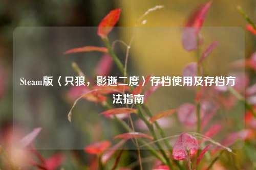Steam版〈只狼，影逝二度〉存档使用及存档方法指南