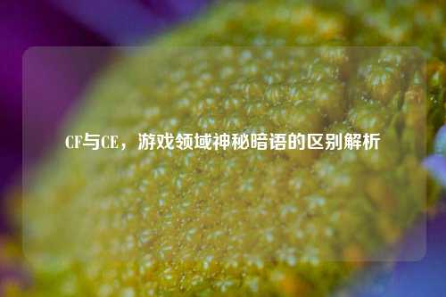CF与CE，游戏领域神秘暗语的区别解析