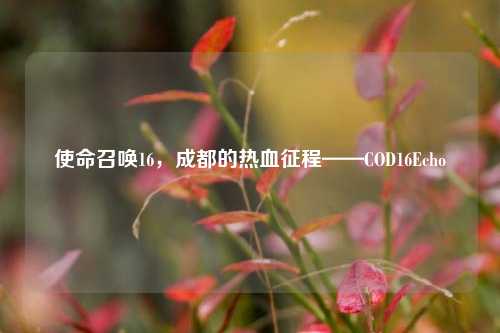 使命召唤16,成都的热血征程——COD16Echo