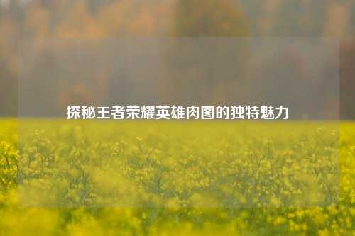 探秘王者荣耀英雄肉图的独特魅力