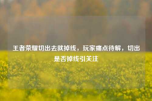 王者荣耀切出去就掉线，玩家痛点待解，切出是否掉线引关注