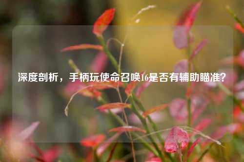深度剖析，手柄玩使命召唤16是否有辅助瞄准？