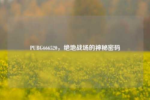 PUBG666520，绝地战场的神秘密码