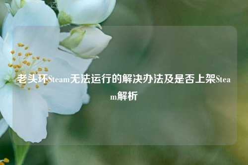 老头环Steam无法运行的解决办法及是否上架Steam解析