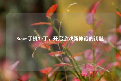 Steam手机补丁，开启游戏新体验的钥匙