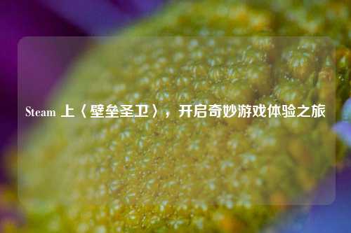 Steam 上〈壁垒圣卫〉,开启奇妙游戏体验之旅