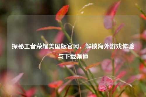 探秘王者荣耀美国版官网，解锁海外游戏体验与下载渠道