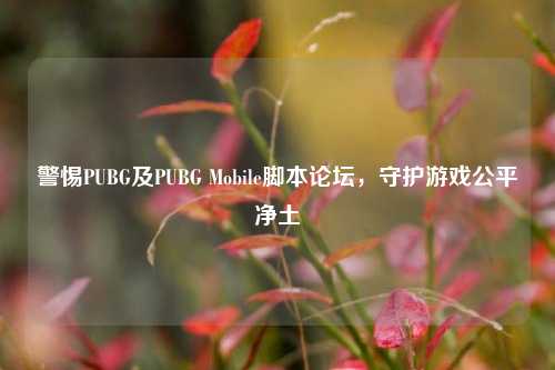 警惕PUBG及PUBG Mobile脚本论坛，守护游戏公平净土