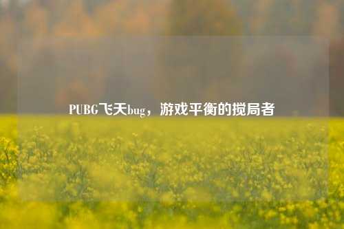 PUBG飞天bug，游戏平衡的搅局者