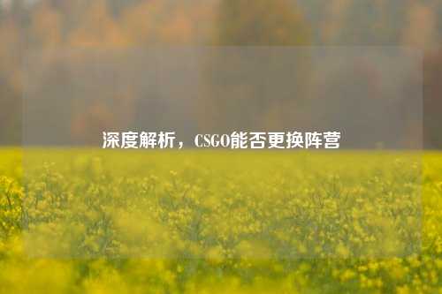 深度解析，CSGO能否更换阵营