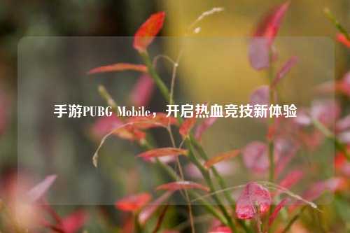手游PUBG Mobile，开启热血竞技新体验
