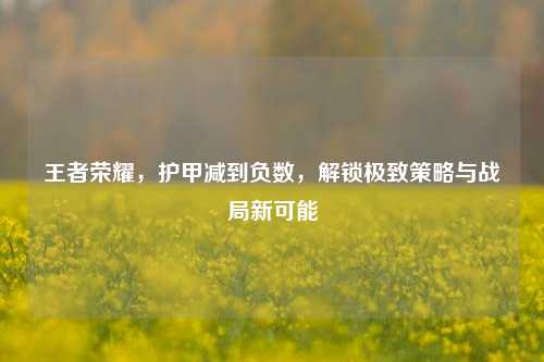 王者荣耀，护甲减到负数，解锁极致策略与战局新可能