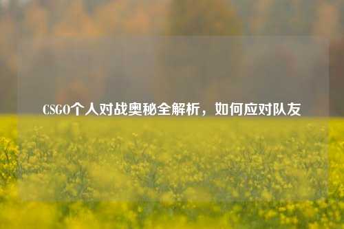 CSGO个人对战奥秘全解析，如何应对队友