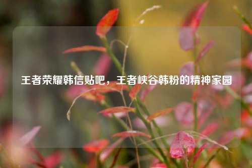 王者荣耀韩信贴吧，王者峡谷韩粉的精神家园
