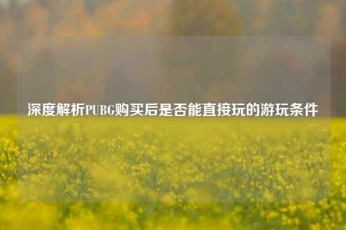 深度解析PUBG购买后是否能直接玩的游玩条件