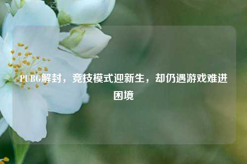 PUBG解封，竞技模式迎新生，却仍遇游戏难进困境