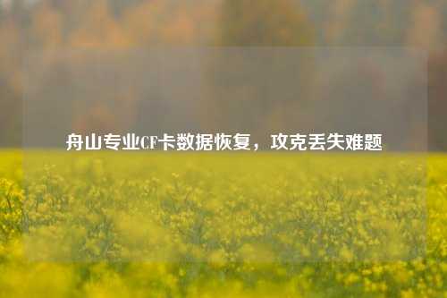 舟山专业CF卡数据恢复，攻克丢失难题