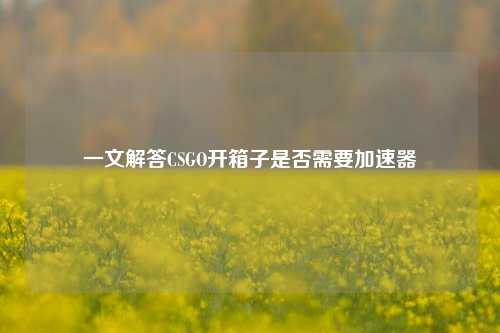 一文解答CSGO开箱子是否需要加速器