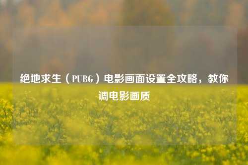 绝地求生(PUBG)电影画面设置全攻略,教你调电影画质