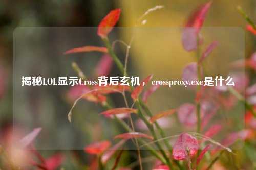 揭秘LOL显示Cross背后玄机，crossproxy.exe是什么