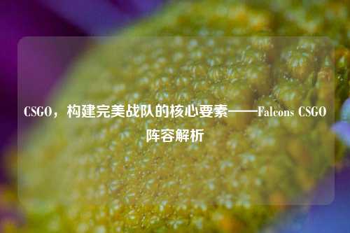 CSGO,构建完美战队的核心要素——Falcons CSGO阵容解析