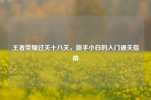 王者荣耀过关十八关，新手小白的入门通关指南