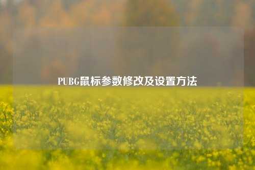 PUBG鼠标参数修改及设置方法