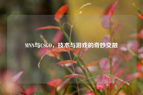 MNN与CSGO，技术与游戏的奇妙交融