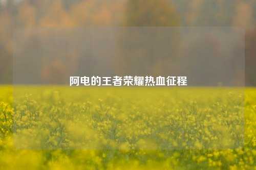 阿电的王者荣耀热血征程
