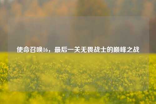使命召唤16，最后一关无畏战士的巅峰之战