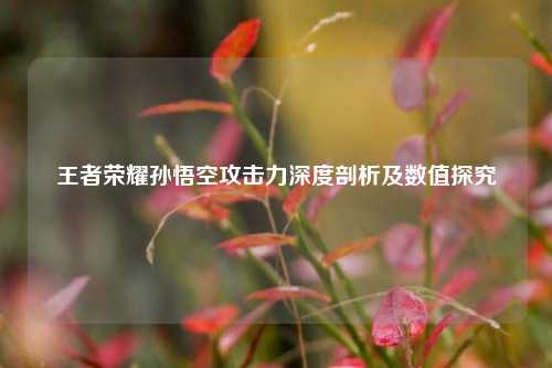 王者荣耀孙悟空攻击力深度剖析及数值探究