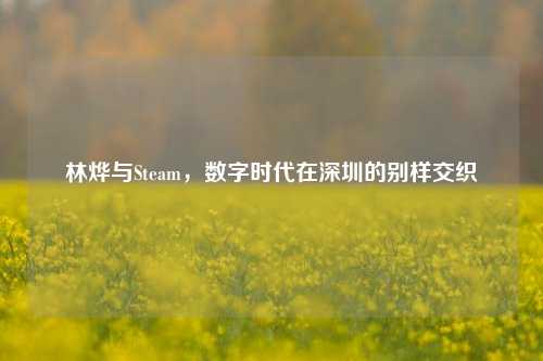 林烨与Steam，数字时代在深圳的别样交织