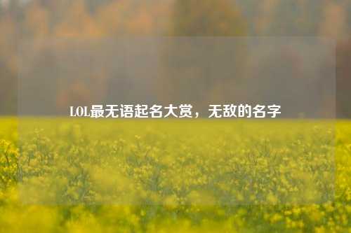 LOL最无语起名大赏，无敌的名字