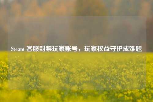 Steam 客服封禁玩家账号，玩家权益守护成难题
