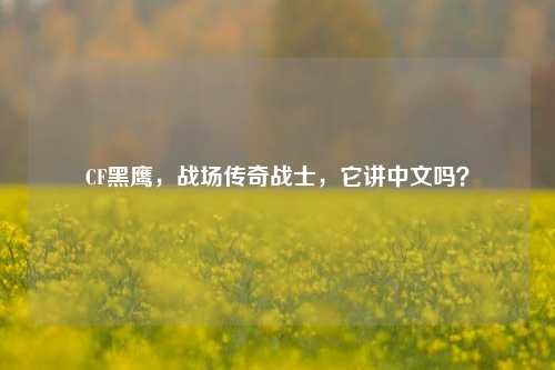 CF黑鹰，战场传奇战士，它讲中文吗？