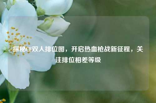 探秘CF双人排位图，开启热血枪战新征程，关注排位相差等级