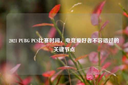 2021 PUBG PCS比赛时间，电竞爱好者不容错过的关键节点
