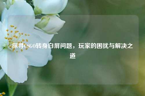 探寻CSGO转身白屏问题，玩家的困扰与解决之道