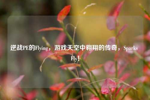 逆战PE的Flying,游戏天空中翱翔的传奇,Sparks Fly!