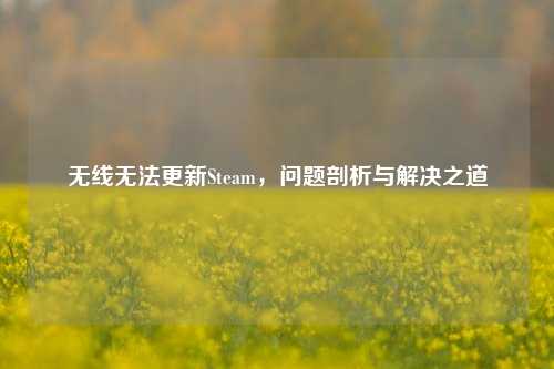 无线无法更新Steam，问题剖析与解决之道