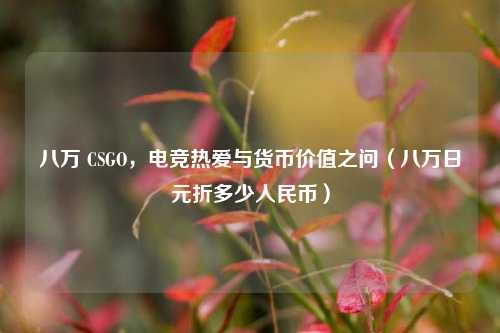 八万 CSGO,电竞热爱与货币价值之问(八万日元折多少人民币)