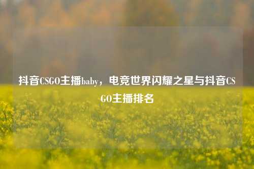抖音CSGO主播baby，电竞世界闪耀之星与抖音CSGO主播排名