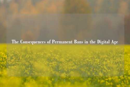 The Consequences of Permanent Bans in the Digital Age