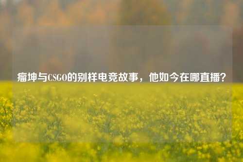 瘤坤与CSGO的别样电竞故事，他如今在哪直播？