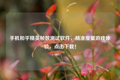 手机和平精英帧数测试软件，精准度量游戏体验，点击下载！