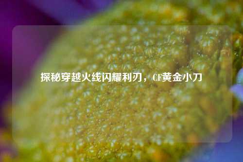探秘穿越火线闪耀利刃,CF黄金小刀