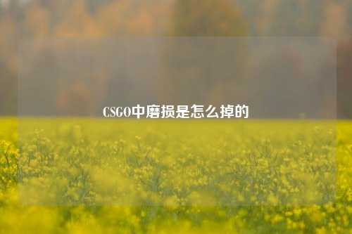 CSGO中磨损是怎么掉的