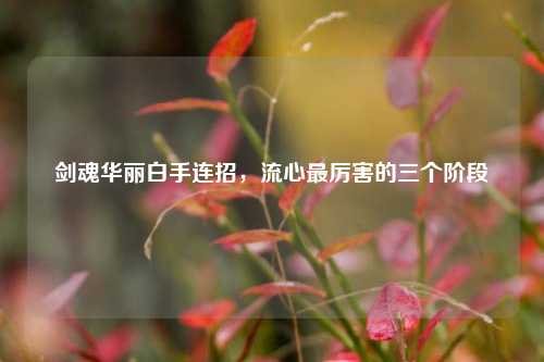 剑魂华丽白手连招，流心最厉害的三个阶段